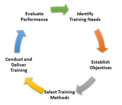 Training & Development