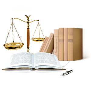 Criminal Record Verification