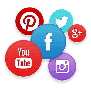 Social Media Verification