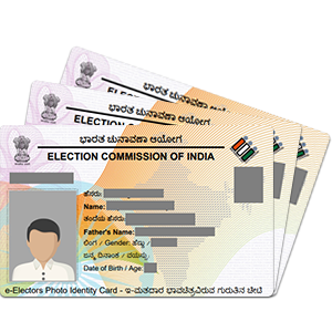 Aadhaar Verification