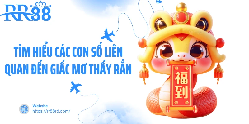 Tìm hiểu các con số liên quan đến giấc mơ thấy rắn Tìm hiểu các con số liên quan đến giấc mơ thấy rắn